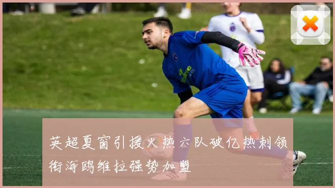 英超夏窗引援火热六队破亿热刺领衔海鸥维拉强势加盟