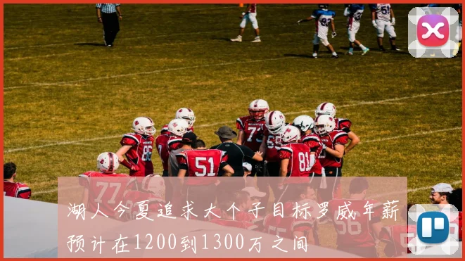 湖人今夏追求大个子目标罗威年薪预计在1200到1300万之间